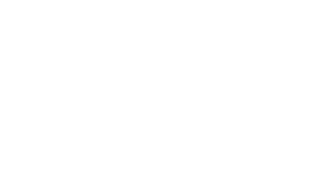 VD logo